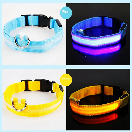 3 Modes Dog Luminous Charge Collar Led Usb Cat Dogs Collars Detachable Night Led Glow Dog Loss Prevention Collar Pet Accessories