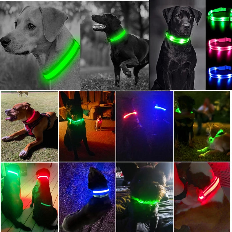 3 Modes Dog Luminous Charge Collar Led Usb Cat Dogs Collars Detachable Night Led Glow Dog Loss Prevention Collar Pet Accessories