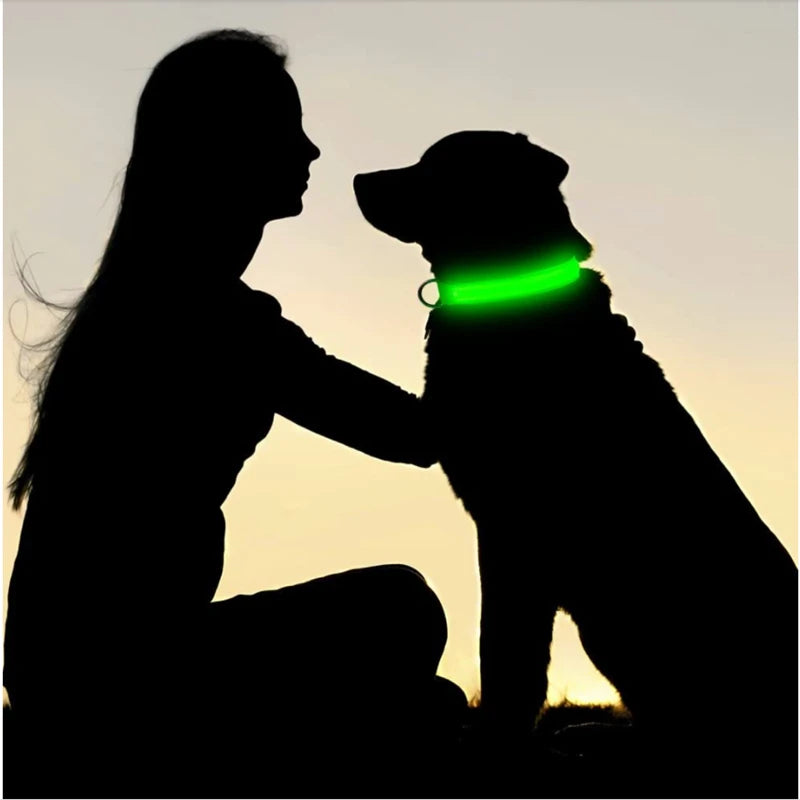 3 Modes Dog Luminous Charge Collar Led Usb Cat Dogs Collars Detachable Night Led Glow Dog Loss Prevention Collar Pet Accessories